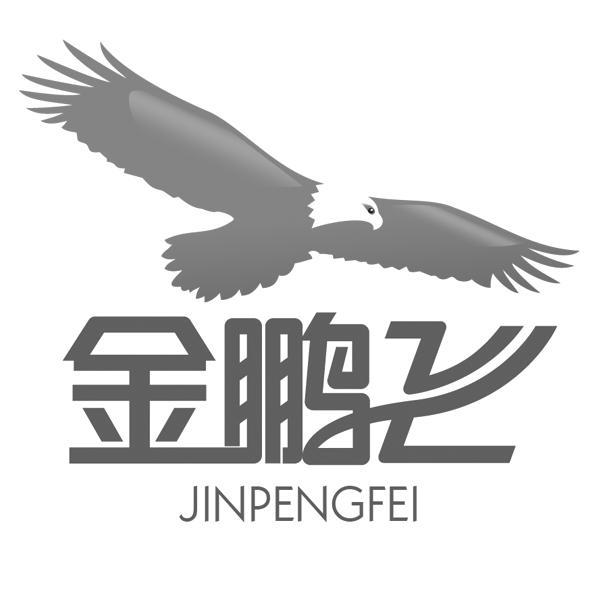 金鹏飞