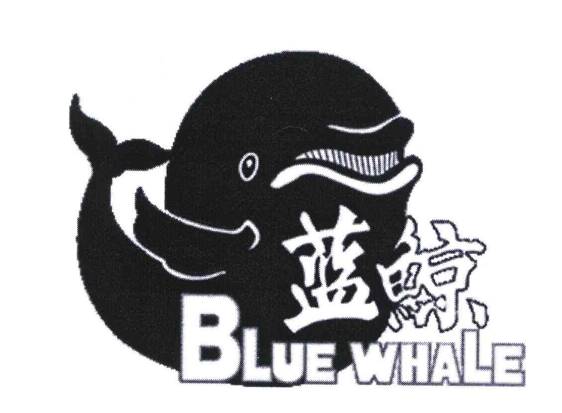 蓝鲸;blue whale