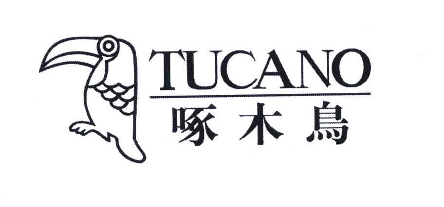 啄木鸟;tucano