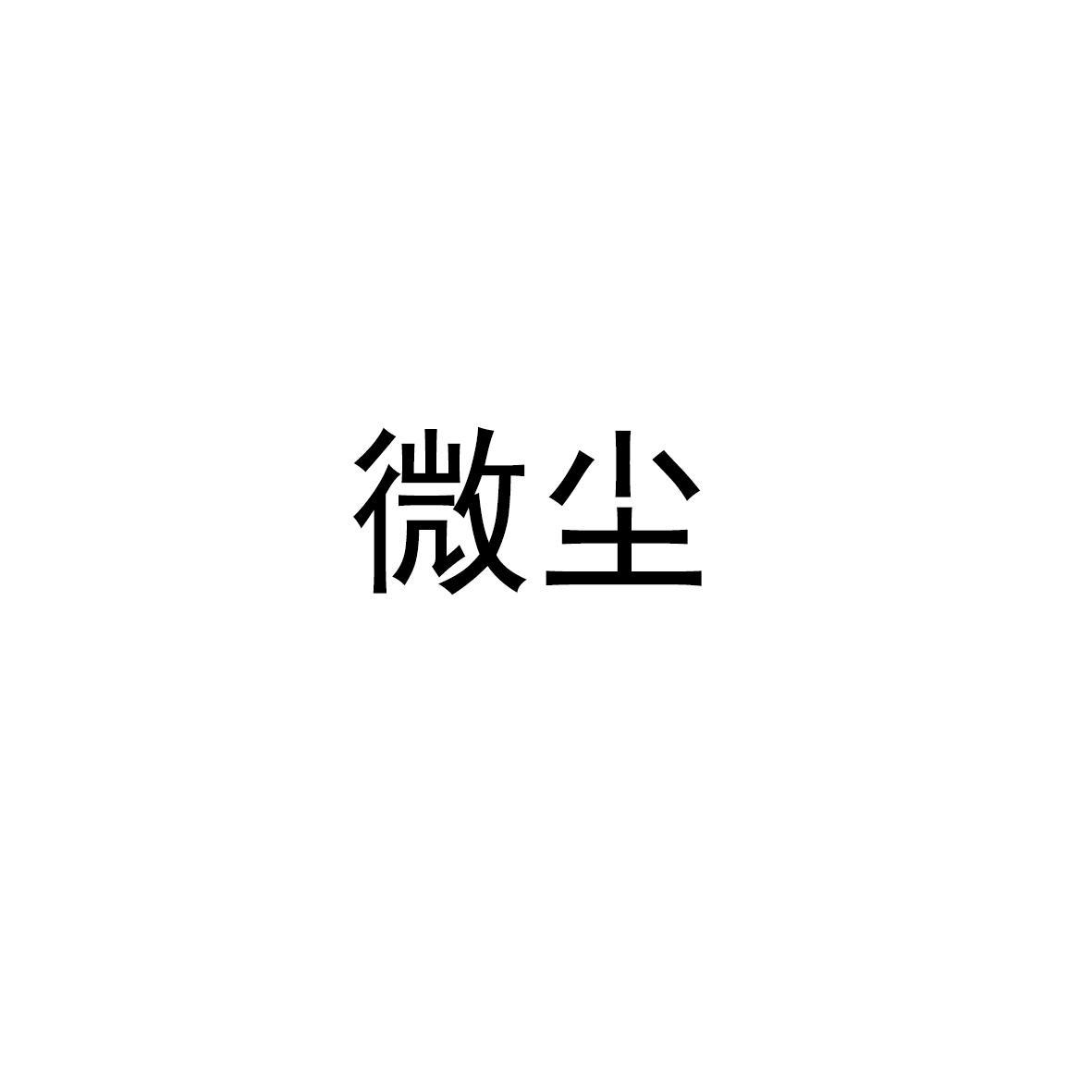 商标详情 微信或天眼查app扫一扫查看详情 微尘 申请注册号:19607974