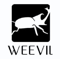 weevil