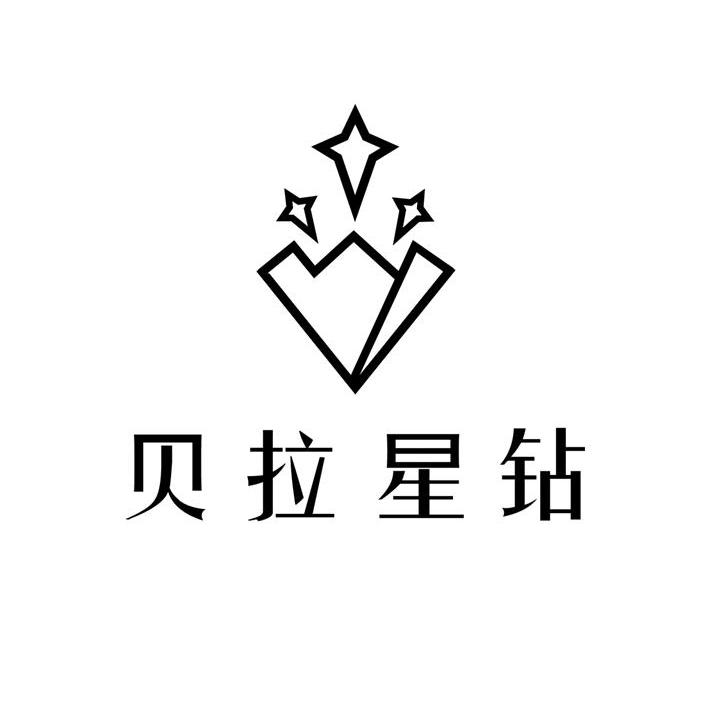 星钻珠宝有限公司