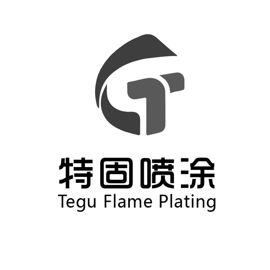 特固喷涂 tegu flame platin