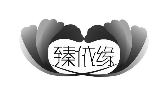 广州臻依服饰有限公司