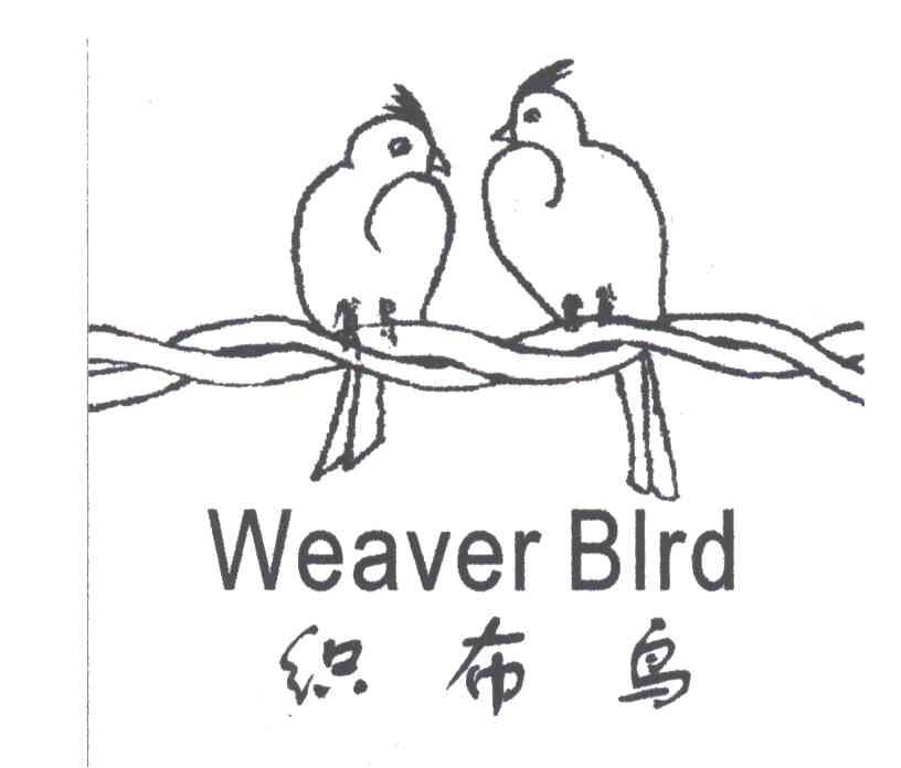 织布鸟;weaver bird