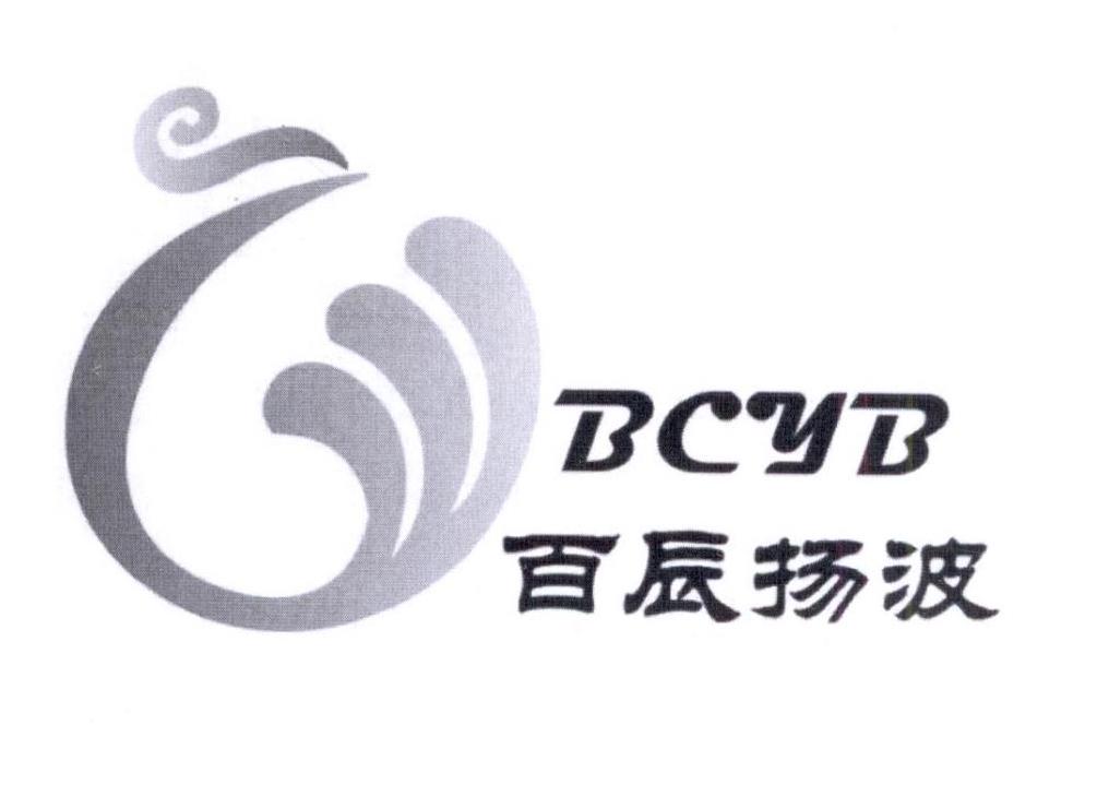 百辰扬波 bcyb