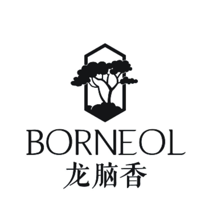 龙脑香 borneol