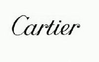 cartier_注册号7218884_商标注册查询 - 天眼查