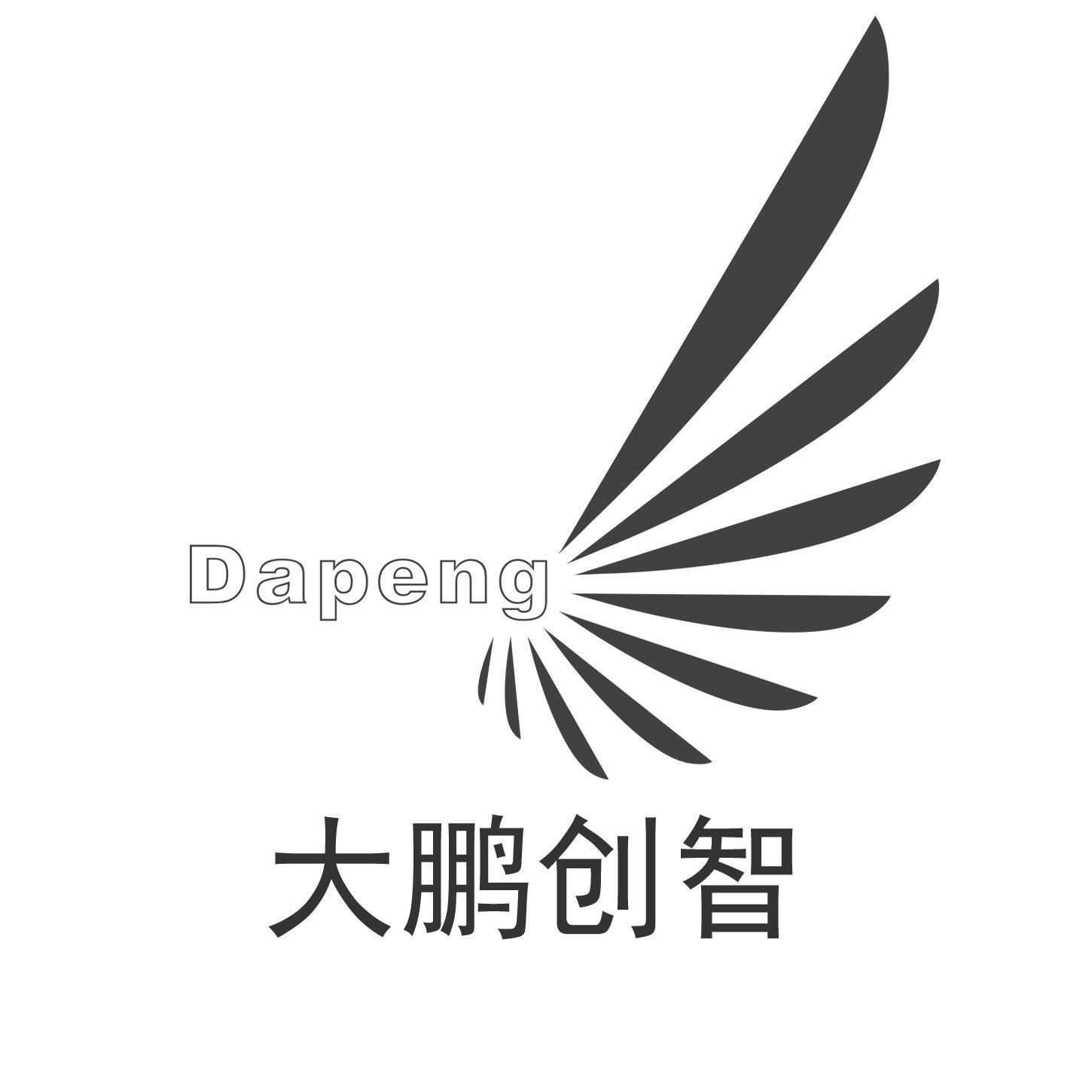 大鹏创智 dapeng