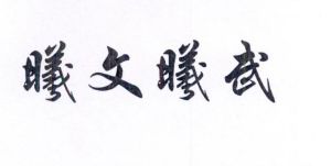 曦文曦武