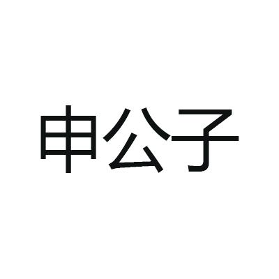 沈公子