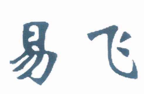 易飞