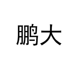 深圳市鹏大光电技术有限公司