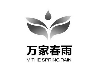 万家春雨 m the spring rain