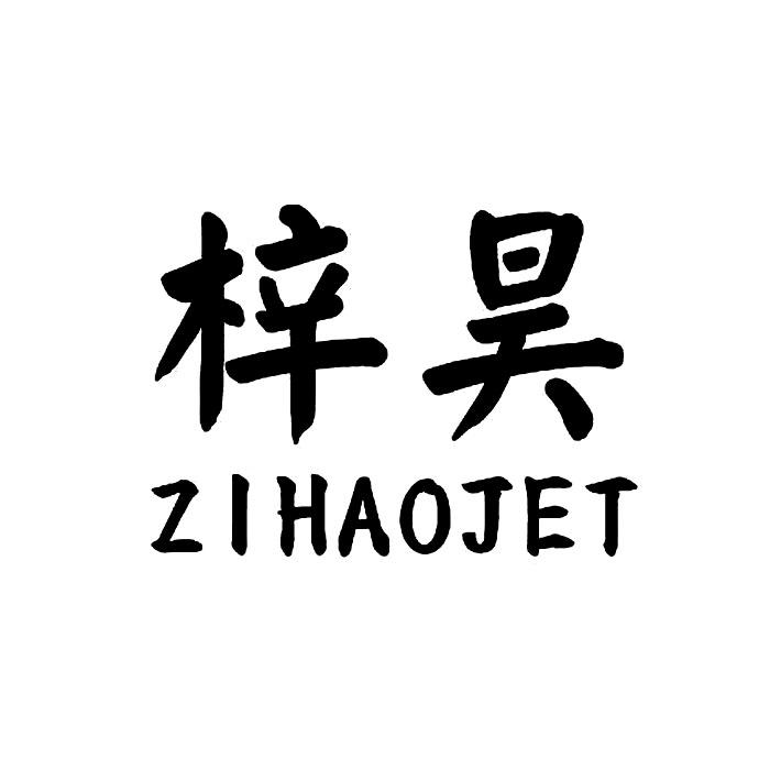 梓昊zihaojet