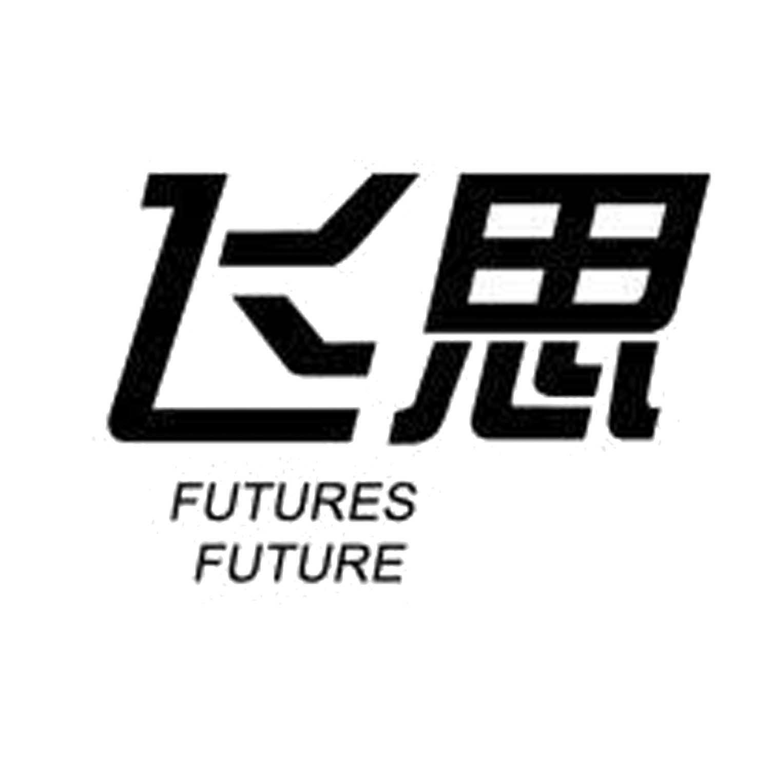 大连飞思财经网络科技有限公司