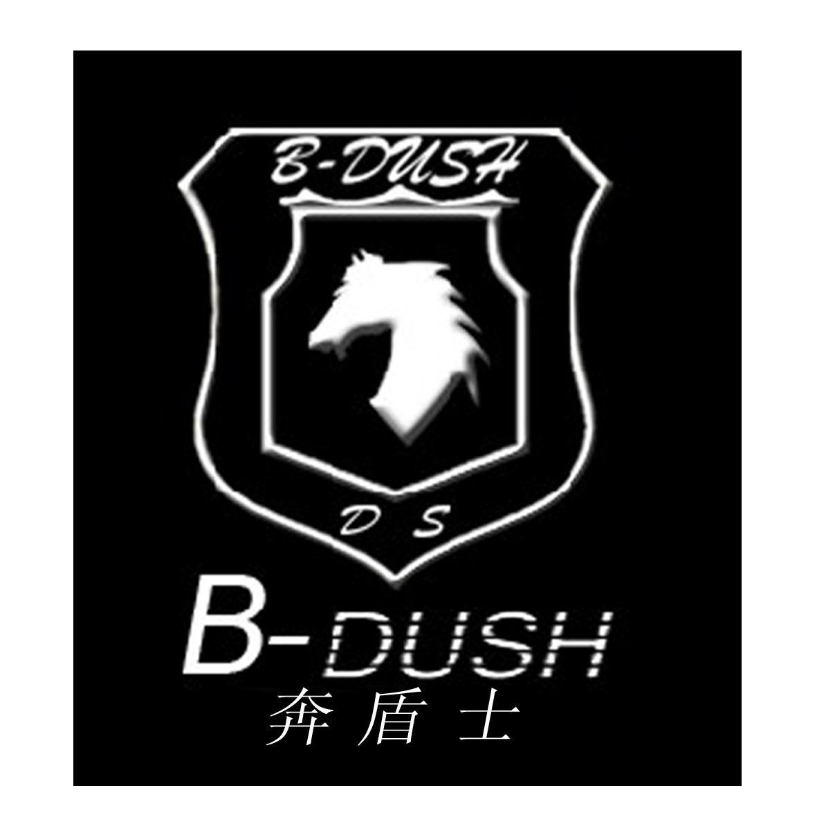 奔盾士 b-dush ds