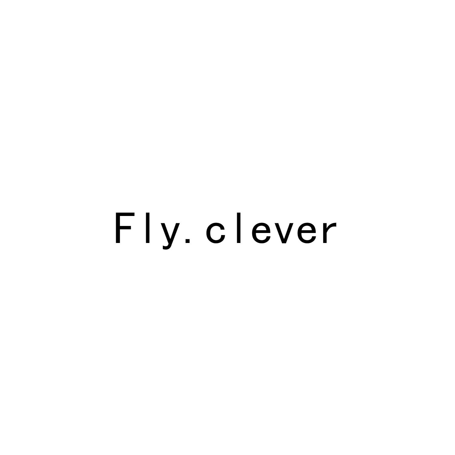 FLY.CLEVER