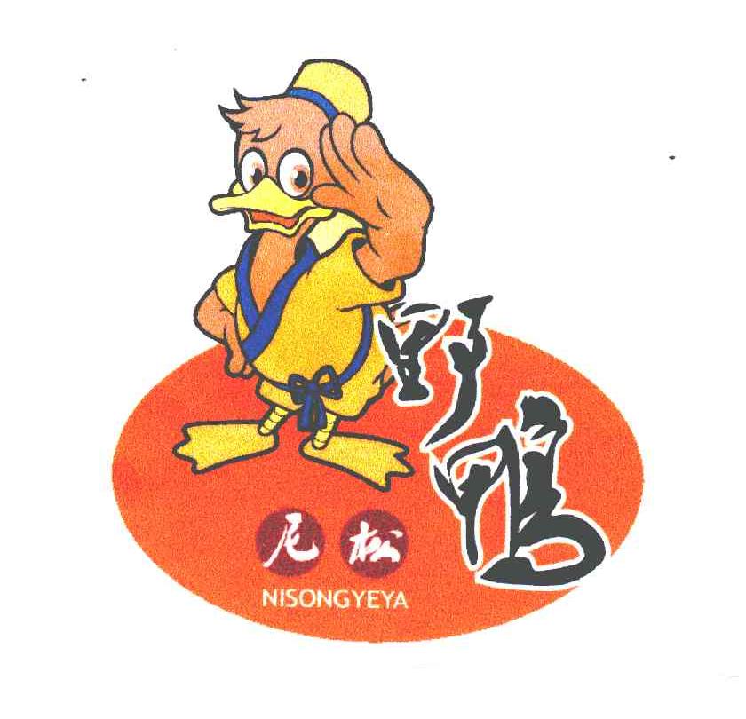 尼松野鸭