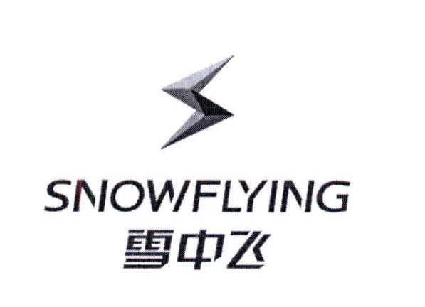 雪中飞