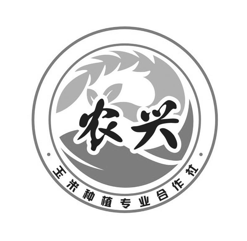 注册号:19189915 申请人:桦甸 市农兴玉米种植专业合作社