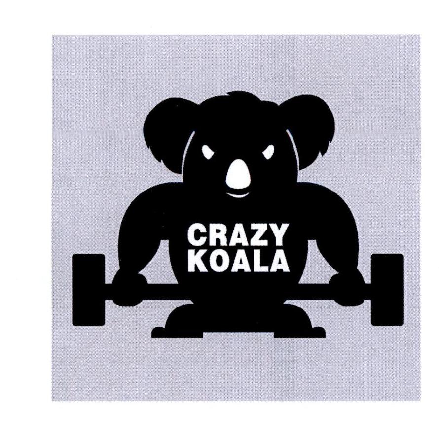 crazy koala