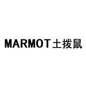 土拨鼠 marmot