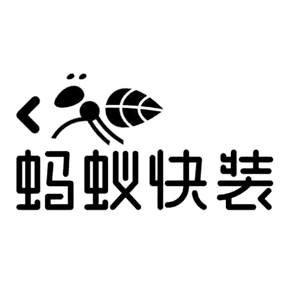  em>蚂蚁 /em>快装