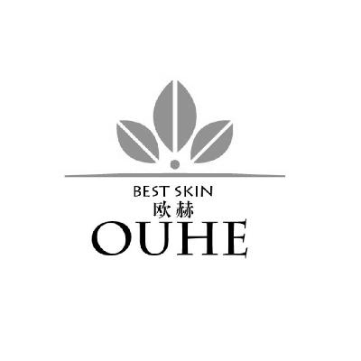 欧赫 ouhe best skin