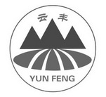 云丰