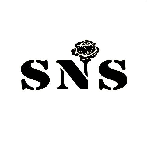 sns