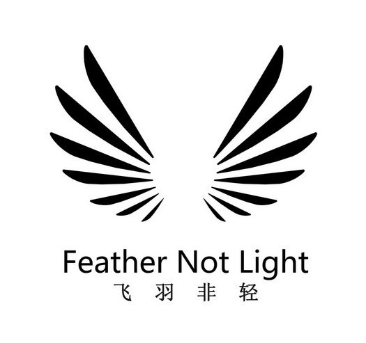 飛羽非輕 feather not light