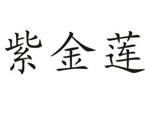 紫金莲