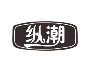 长沙旺拉图科技有限公司商标纵潮（10类）多少钱？