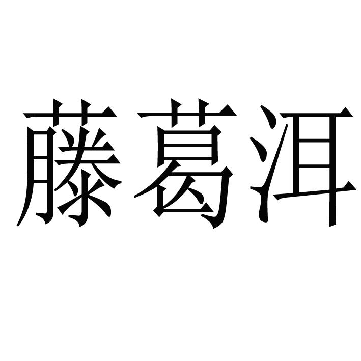 海南东联长富制药有限公司