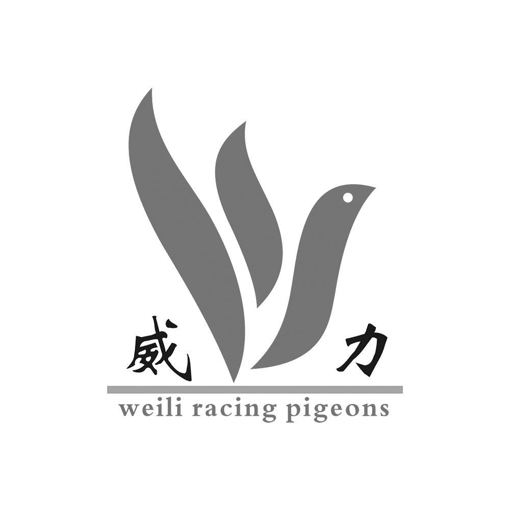 威力weiliracingpigeons