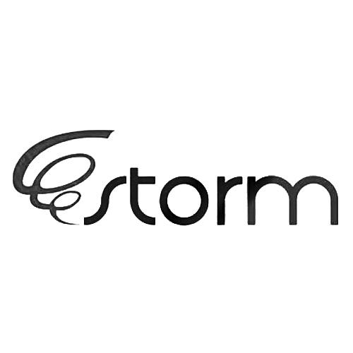  em>storm /em>