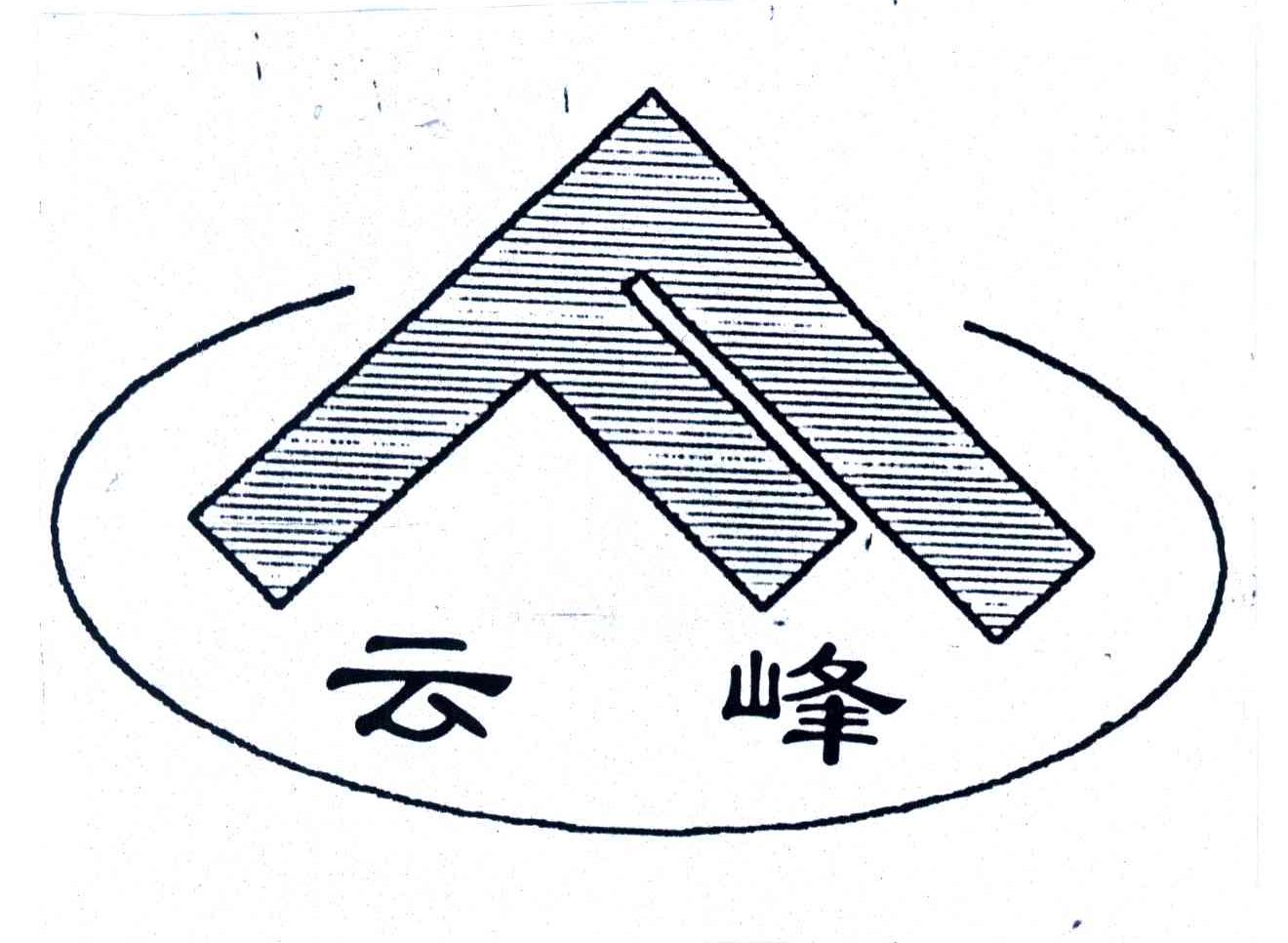 云峰集团(云峰集团董事长)