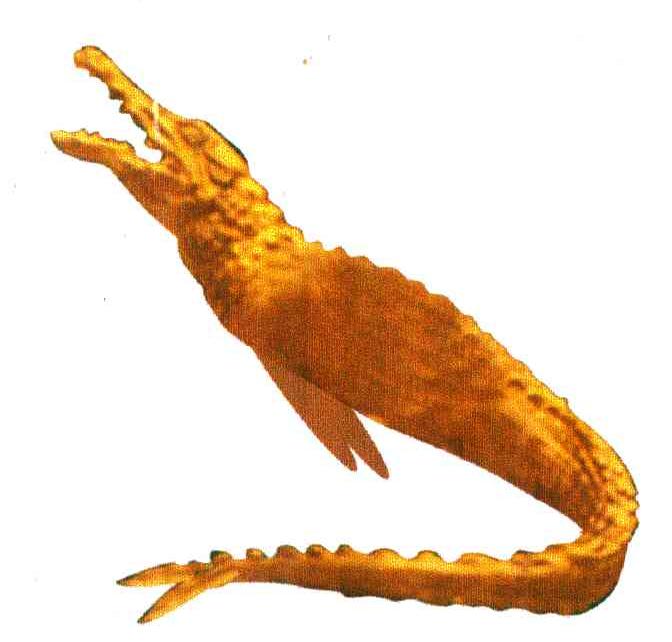 欧洲鳄鱼(香港)国际集团有限公司