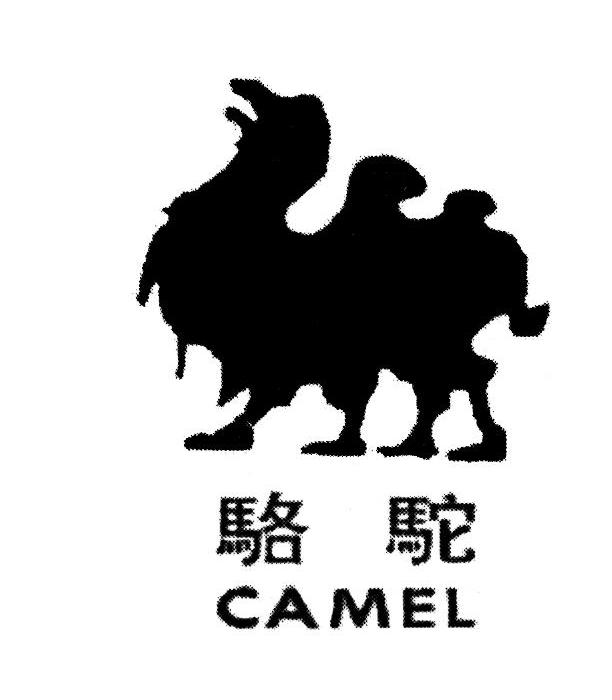骆驼camel
