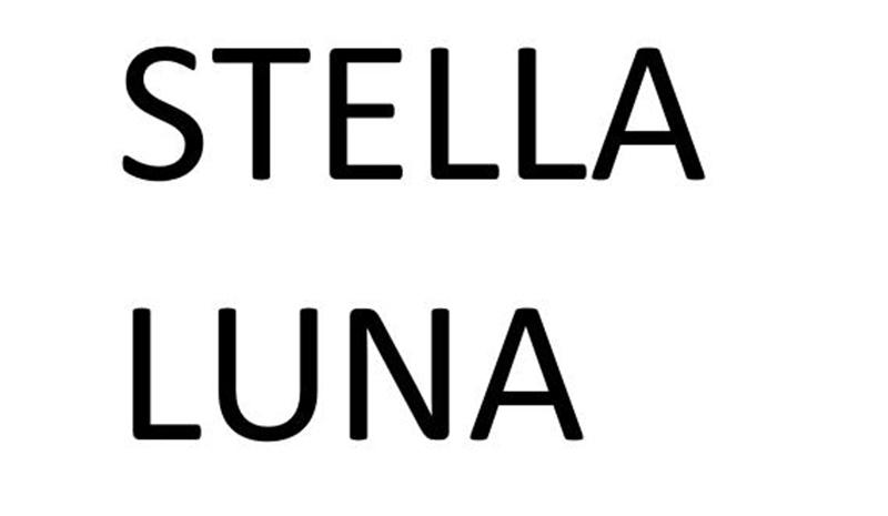 永城市梦工场广告有限公司商标STELLA LUNA（27类）多少钱？