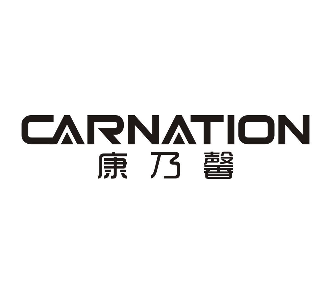 康乃馨carnation