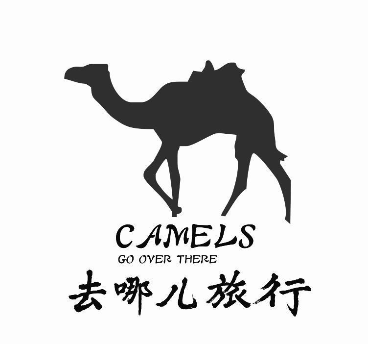 去哪儿旅行;camels go over there