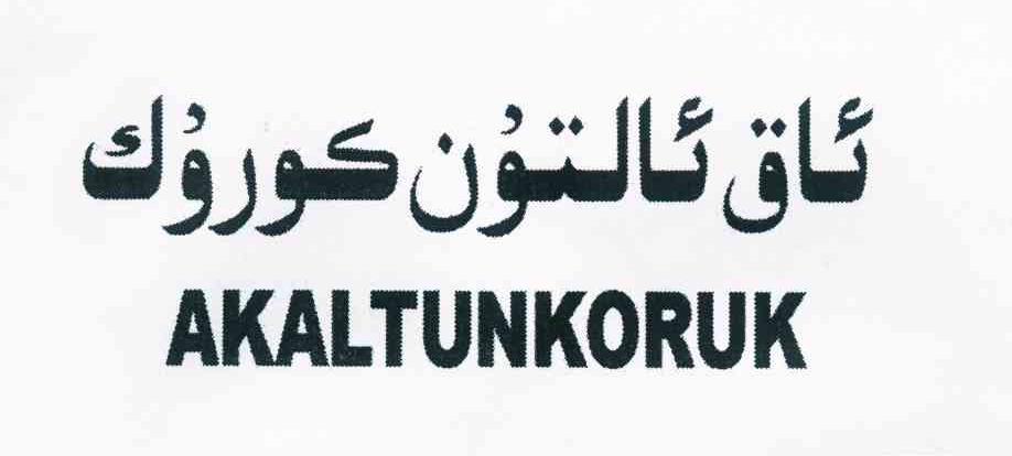 阿尤甫·夏米西丁