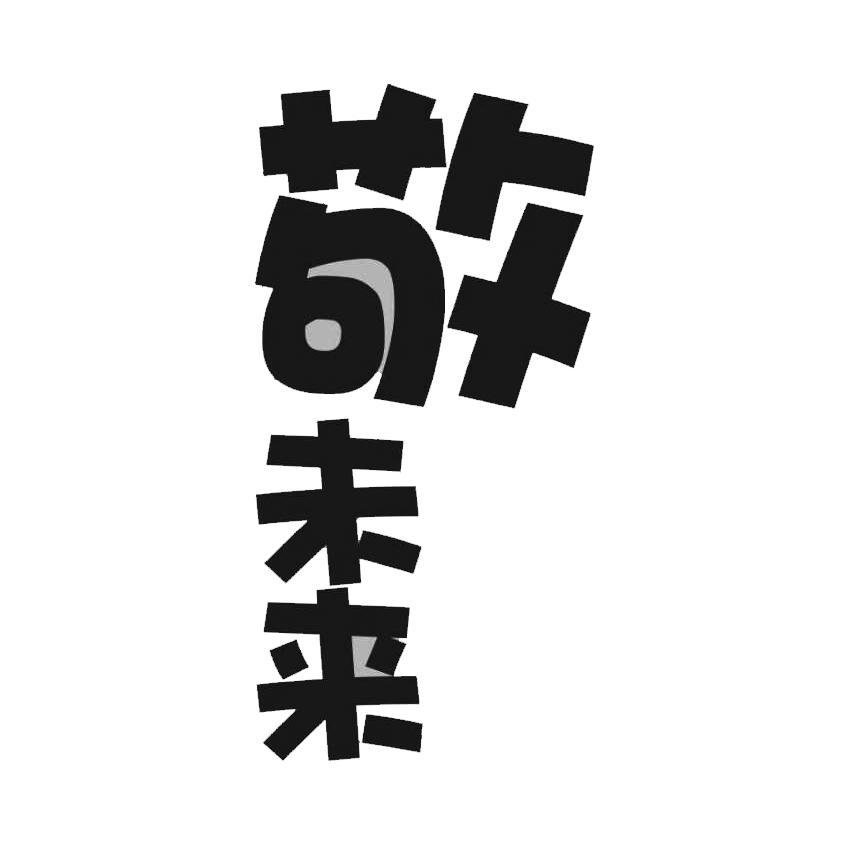 敬未来
