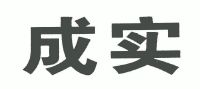 成都成实冶金有限责任公司