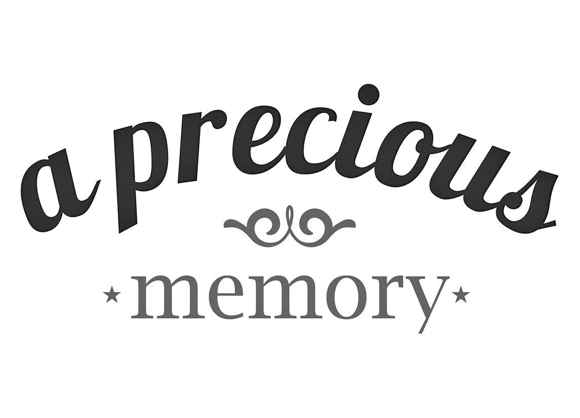 aprecious  em>memory /em>