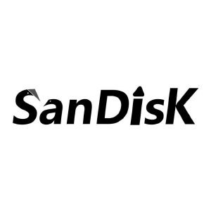 sandisk