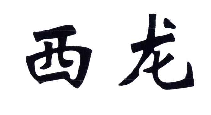 上海西龙时装有限公司