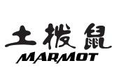 土拨鼠 marmot